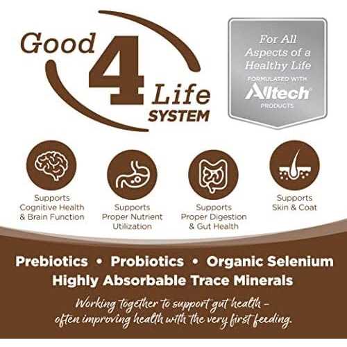 Chicken & Brown Rice Dry Dog Food O8818