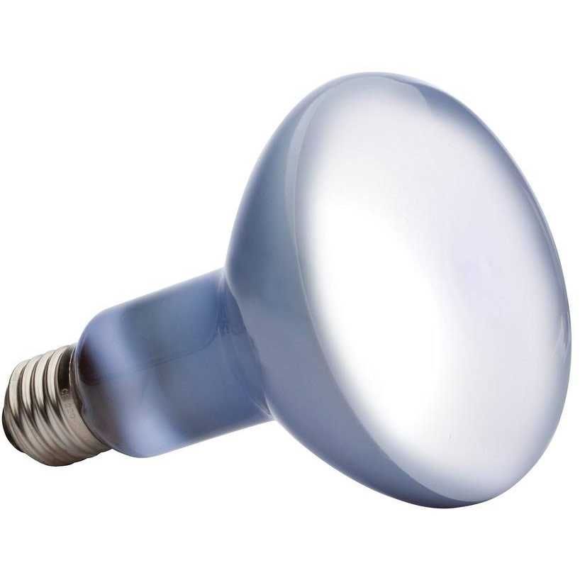 Daylight Basking Spot Lamp F4036