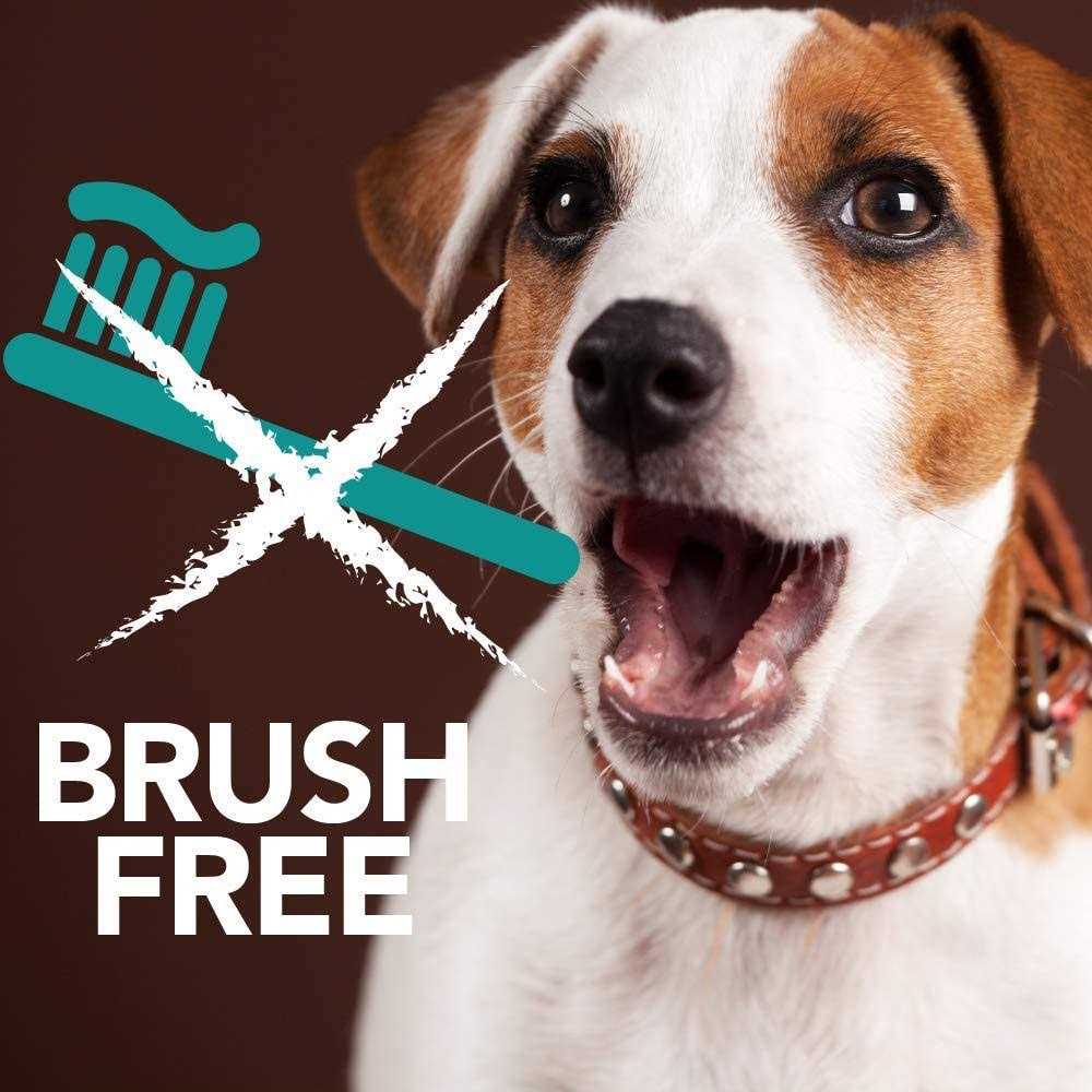 Brush-Free Oral Gel for Pets F4578
