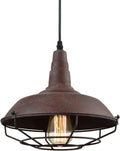 Metal Wire Caged Pendant Light Fixture J2793