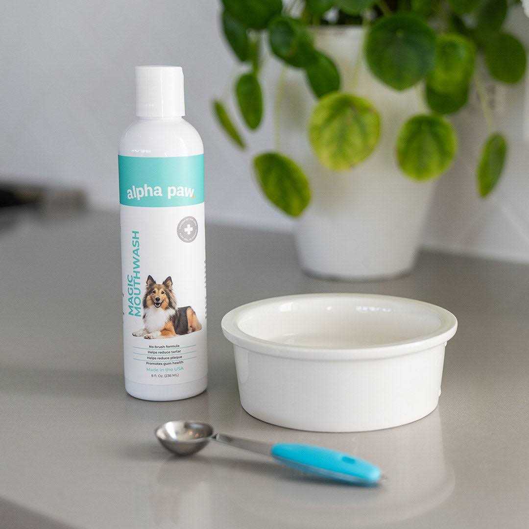 Dog Mouthwash I609
