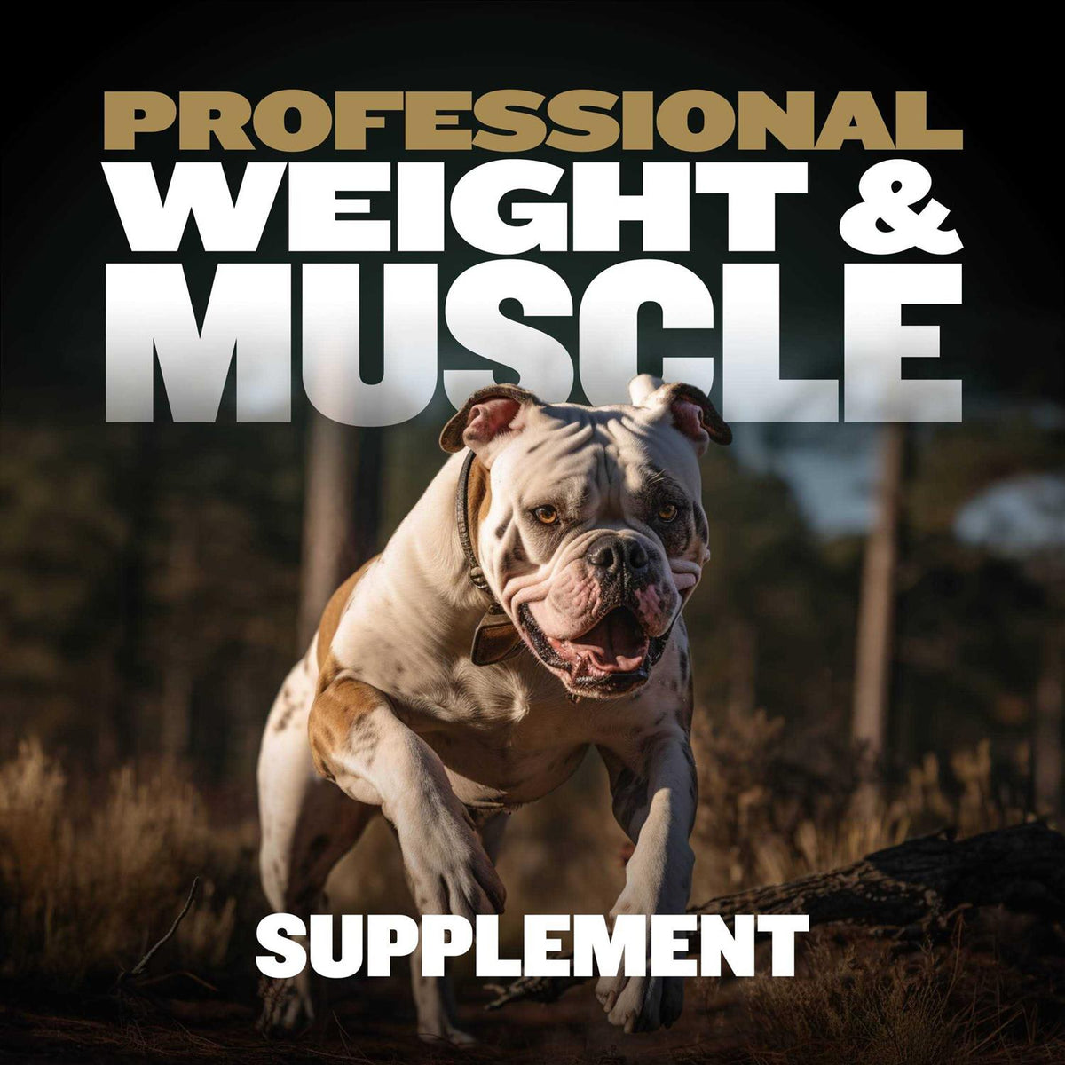 Muscle Builder for Dogs K470196