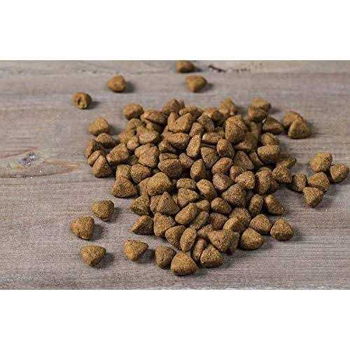 Small Breed Dry Dog Food Turkey M34947