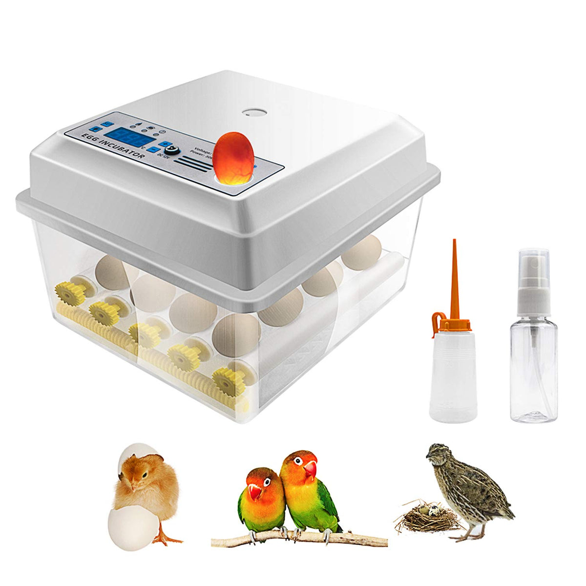16 Eggs Digital Mini Egg Incubator with Automatic Turner E2408