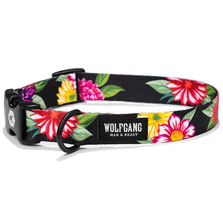 Dog Collar C5832