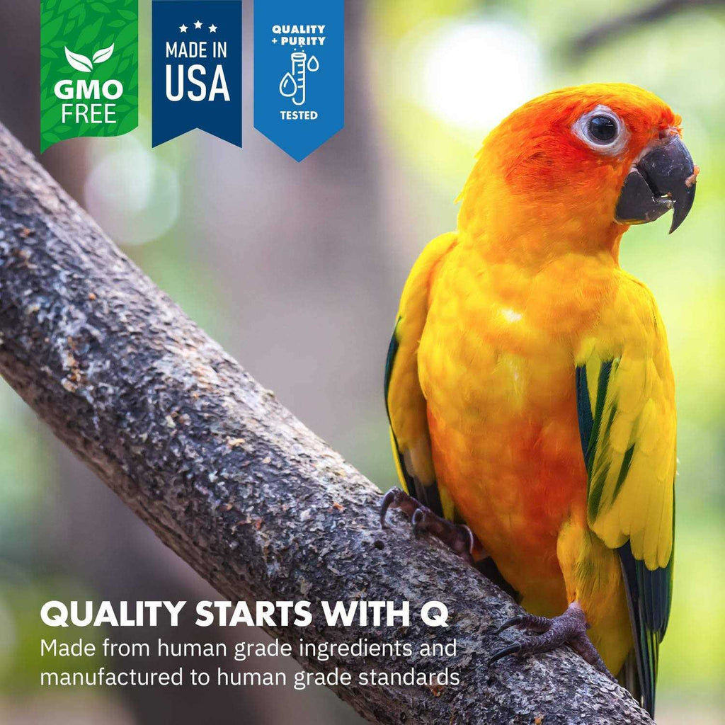 Avian Calm O461813