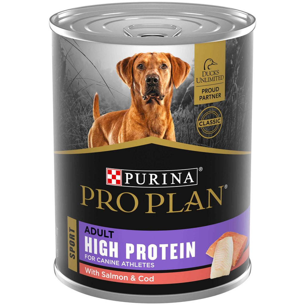 High Protein Wet Dog Food R44635