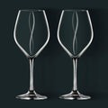 Aerating Wine Glass 2-Pack D517189