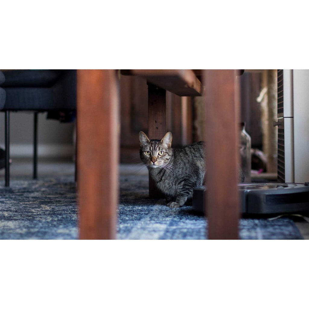 Grain-Free Dry Small Bite Cat Food W3511