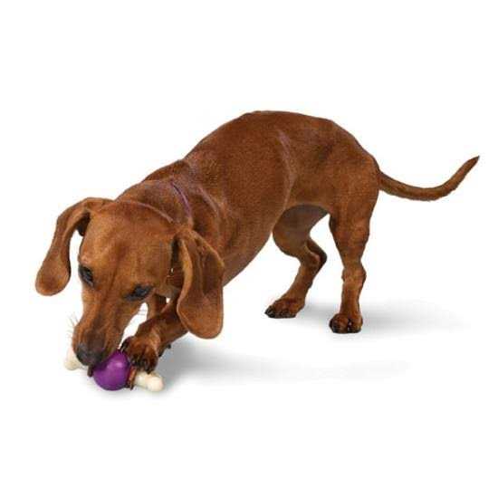 Bouncy Bone W3659