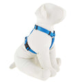 Dog Harness W794320