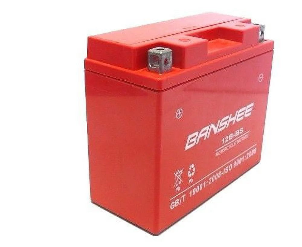 Motorcycle Battery P9142