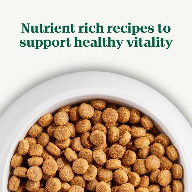 Adult Beef Rice Dry Dog Food W142451