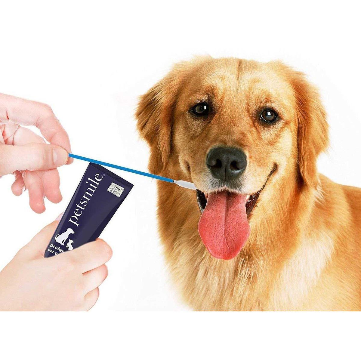 Pet Toothpaste Applicator Swabs L2826