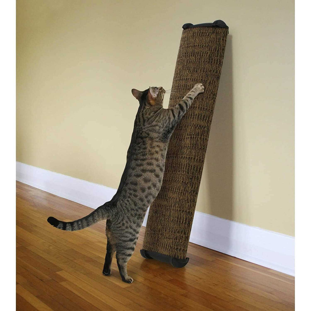 Scratch Post 38 inch I114342