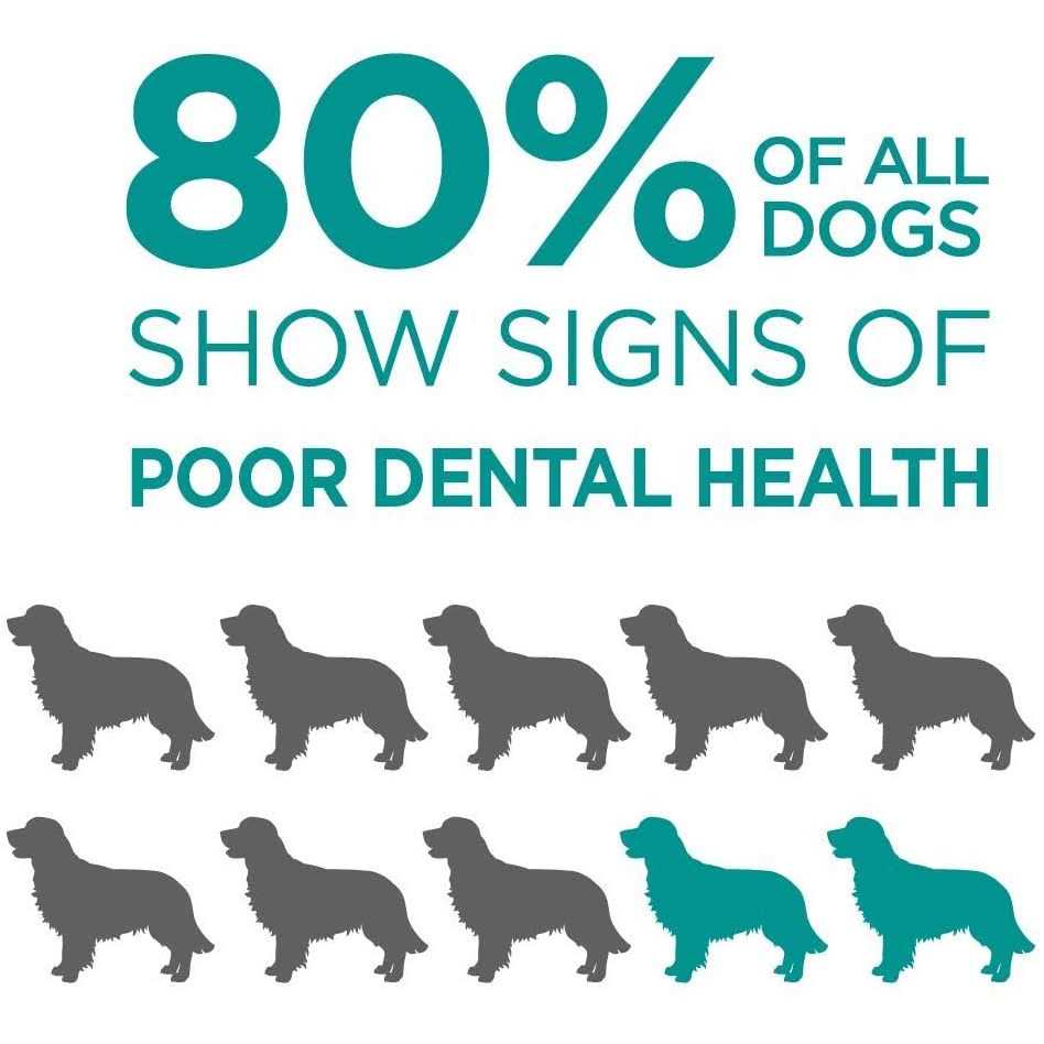 Brush-Free Oral Gel for Pets F4578
