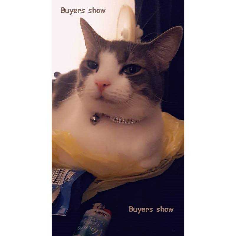 Soft Velvet Adjustable Cat Collar with Bells I142