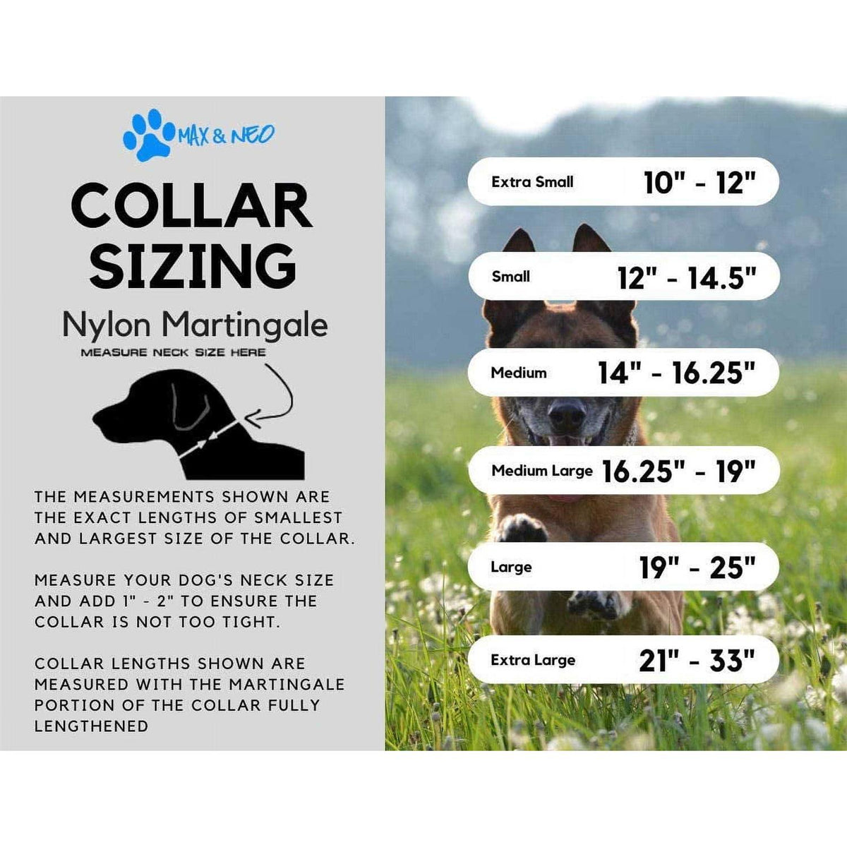 Nylon Martingale Collar I124