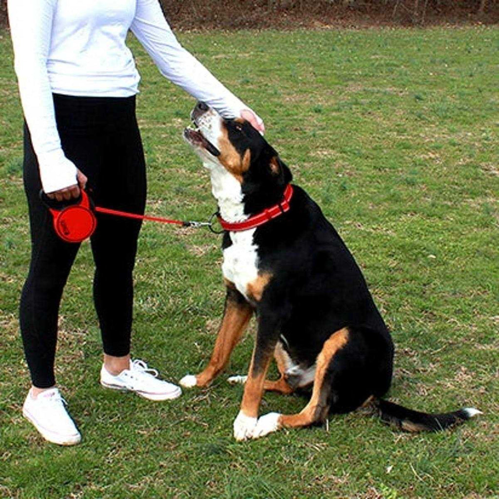 Retractable Dog Leash D136