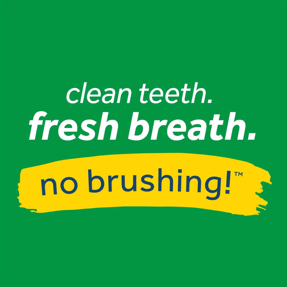 Clean Teeth Oral Care Gel R23844