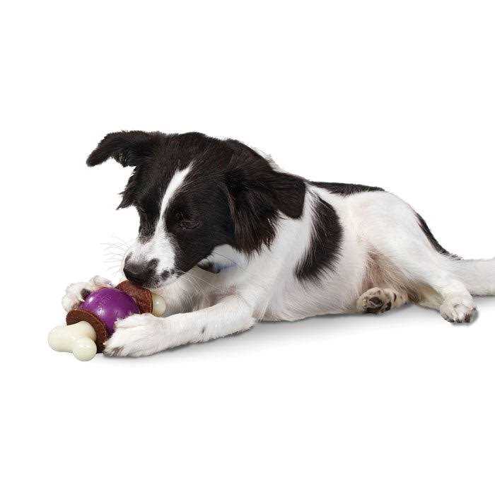 Bouncy Bone W3659