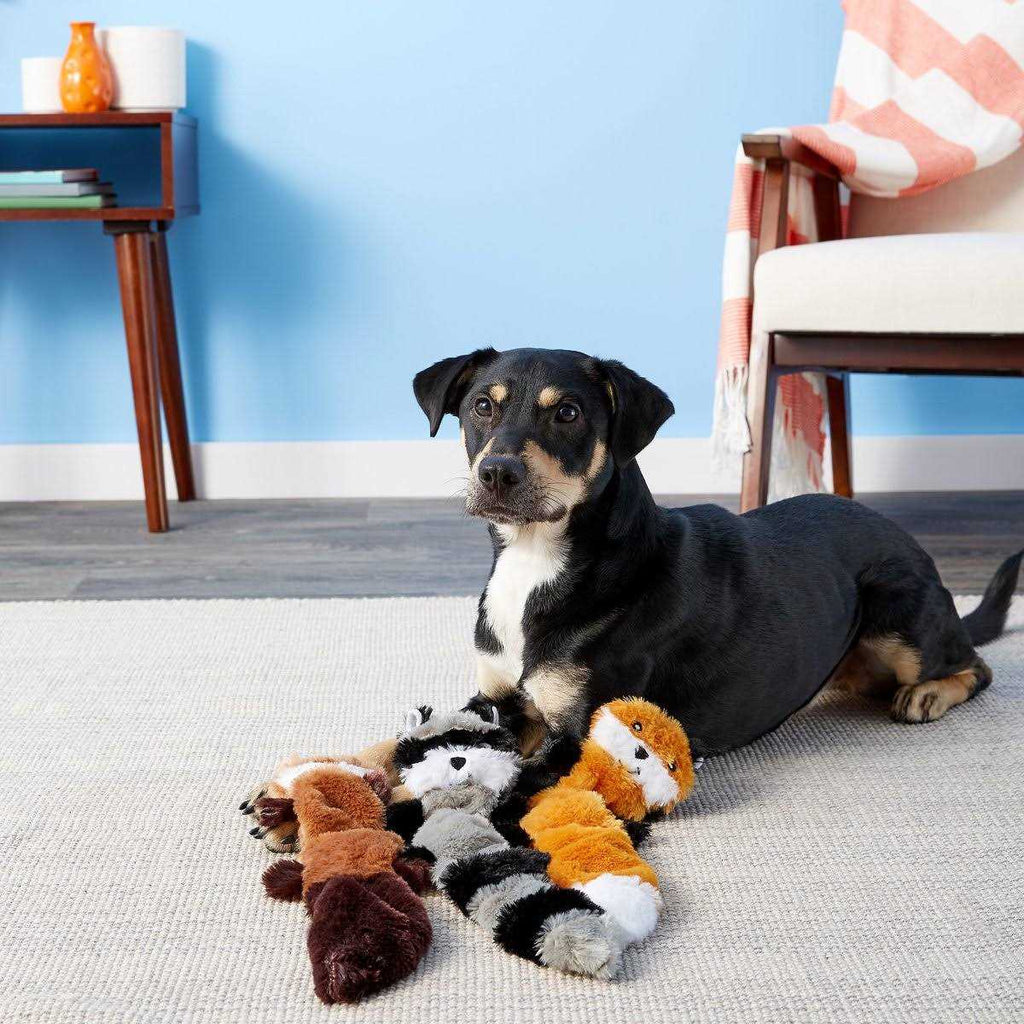 Dog Toy M562815
