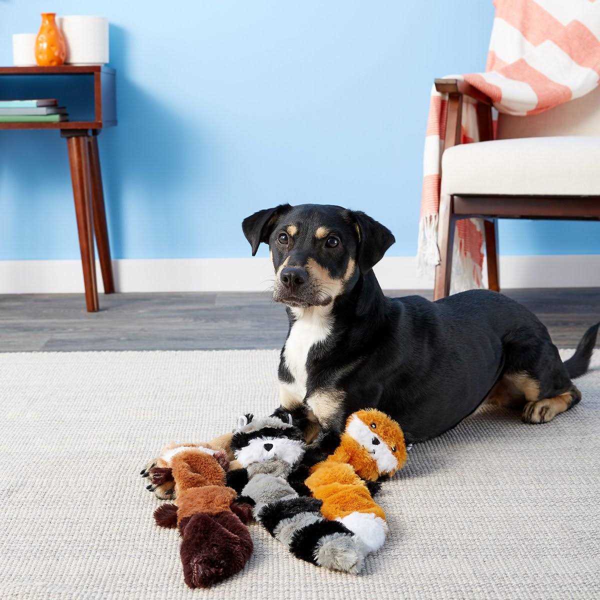 Dog Toy M562815