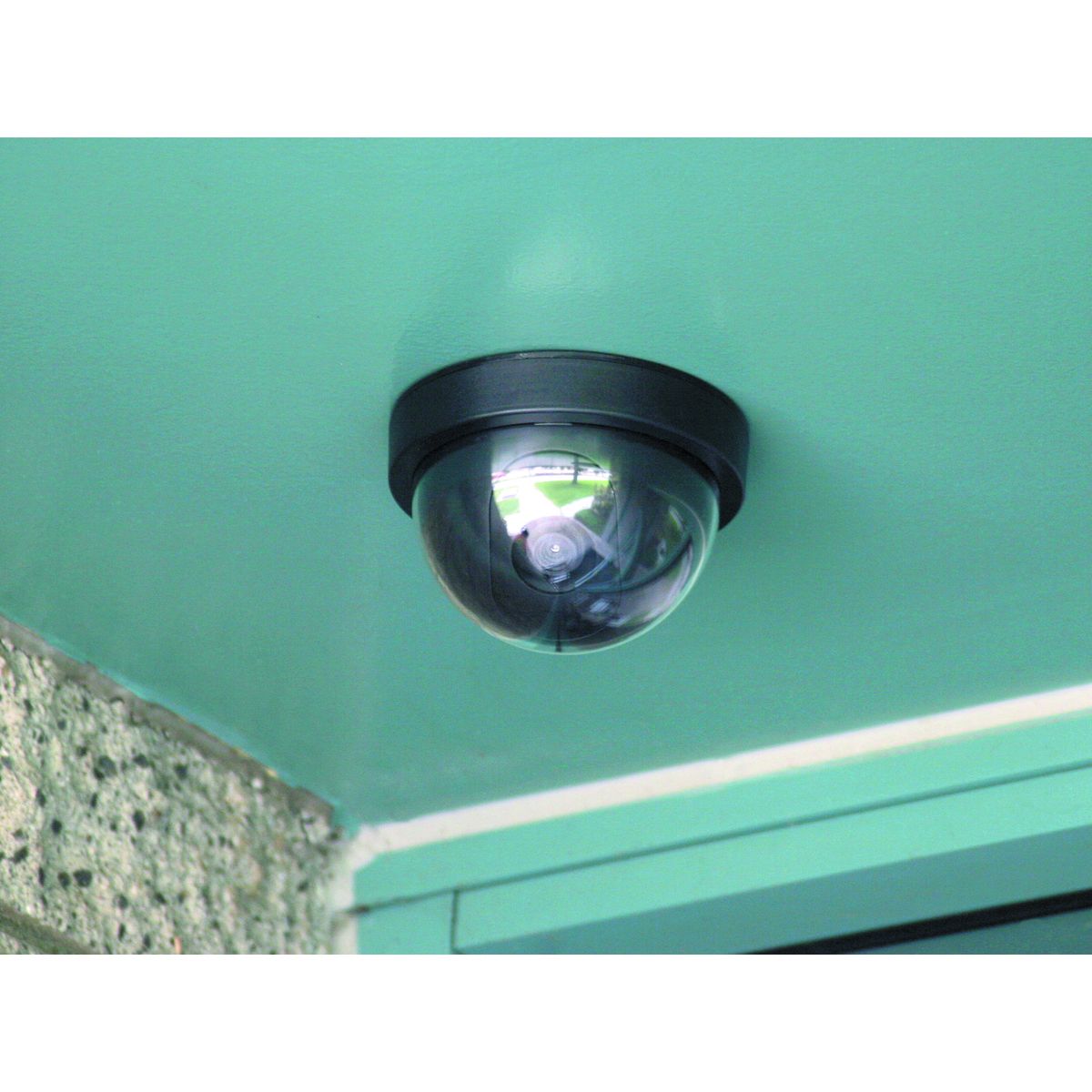 Imitation Dome Security Camera with LED Y62706