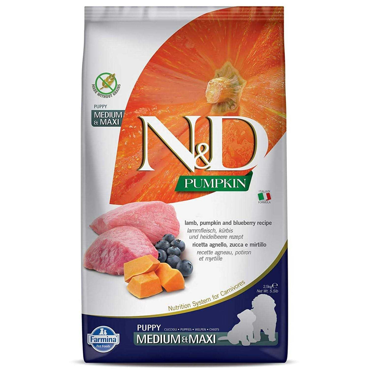 Pumpkin Lamb & Blueberry Puppy Dry Dog Food J12073