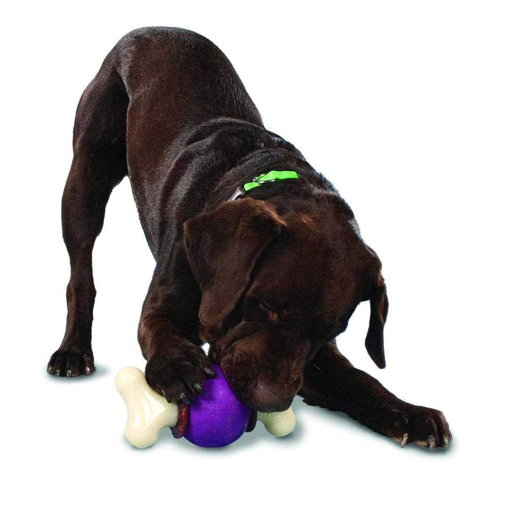 Bouncy Bone W3659