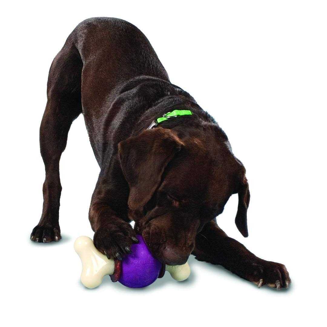 Bouncy Bone W3659