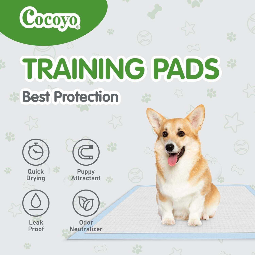 Dog Training Pads G497985