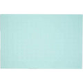 Dog Placemat N44302