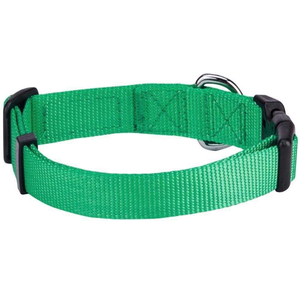 Classic Dog Collar W9341