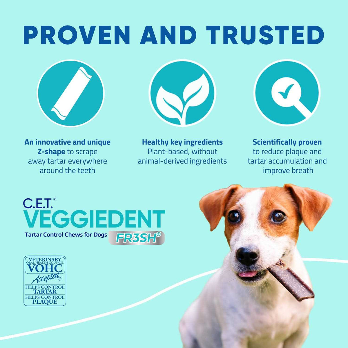 VeggieDent Tartar Control Chews for Dogs V269