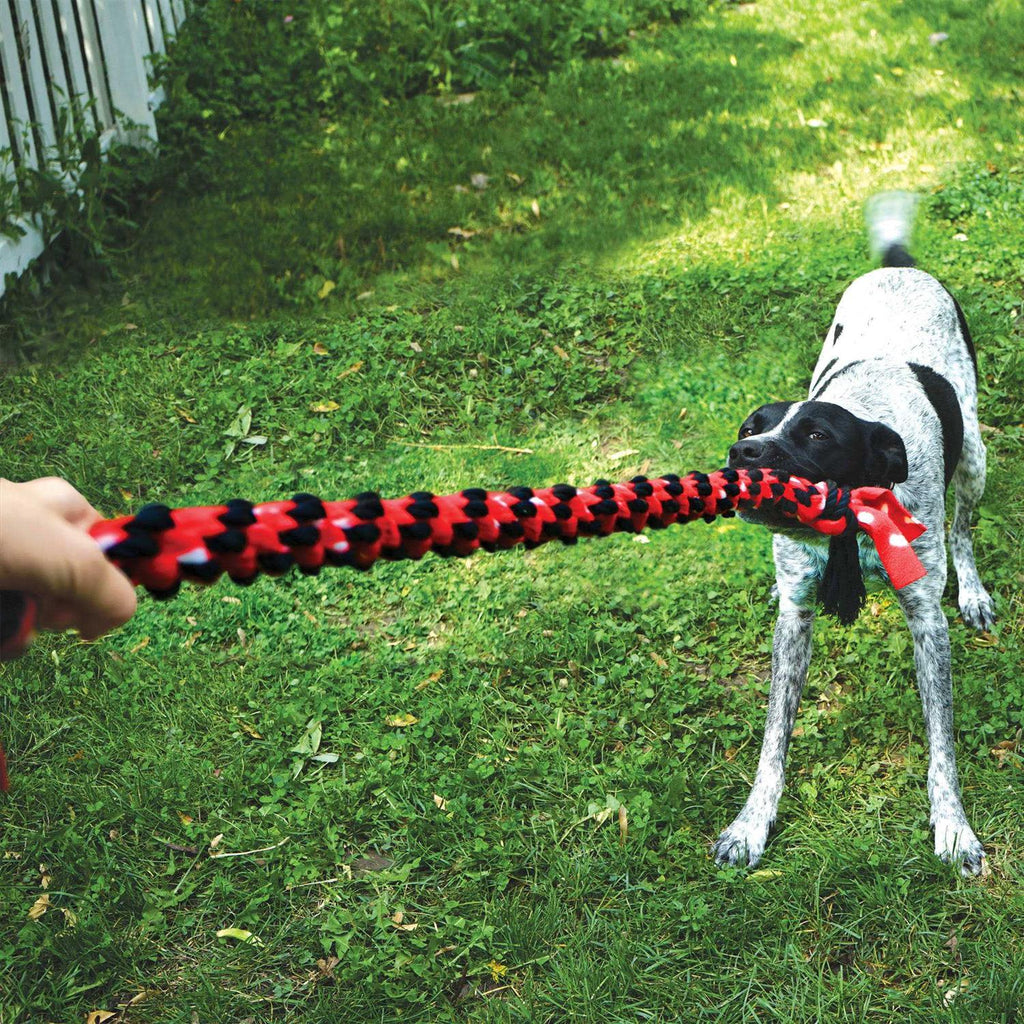 Rope Dog Toy R463165
