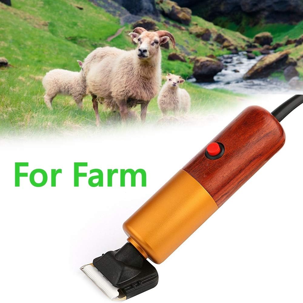 Low Noise Pet Grooming Clippers with 2 Comb Attachments Y11886