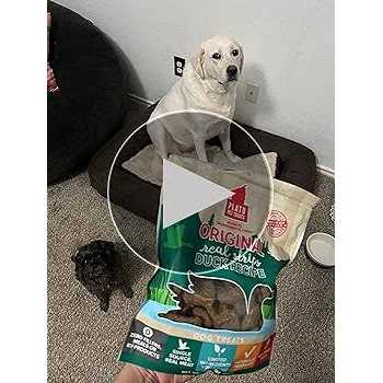 Salmon Dog Treats Y771643