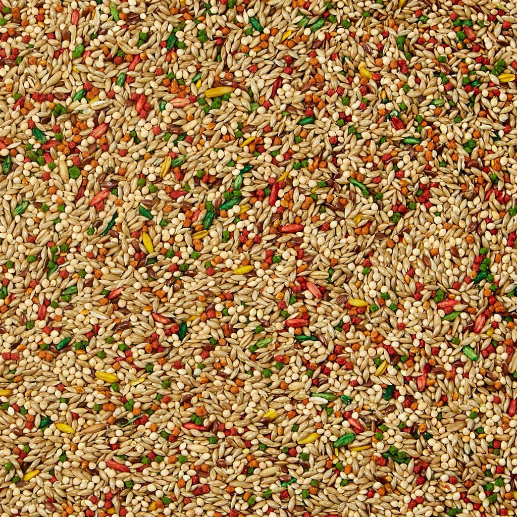 Parakeet Food G456