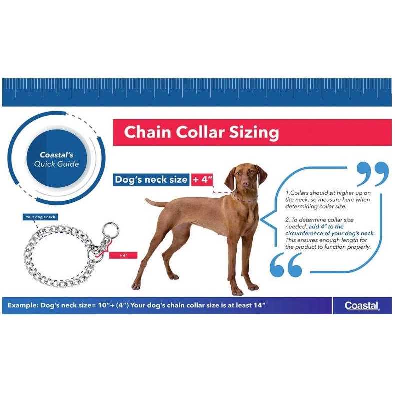 Steel Chain Choke Dog Collar Z9957