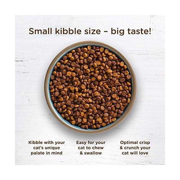 Dry Cat Food J626052