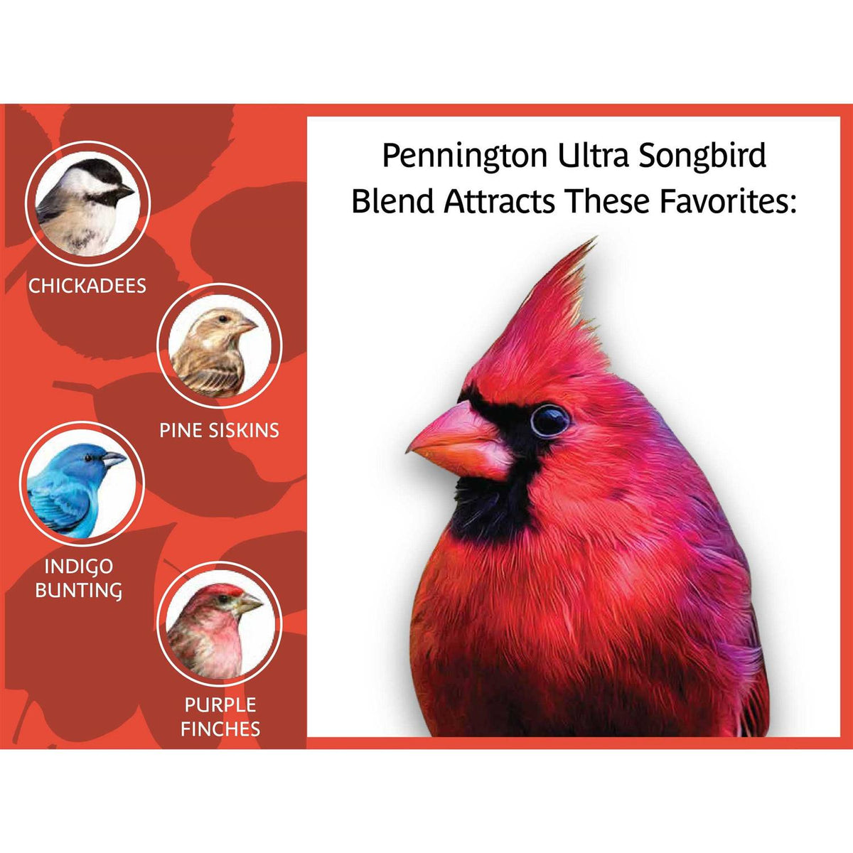 Songbird Blend Bird Seed P145