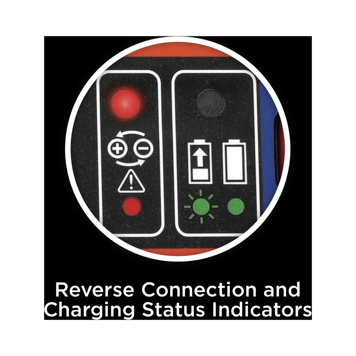 6V and 12V Battery Charger/Maintainer H786340