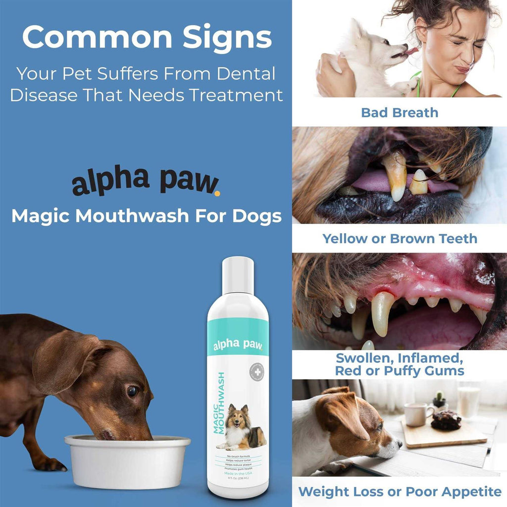 Dog Mouthwash I609