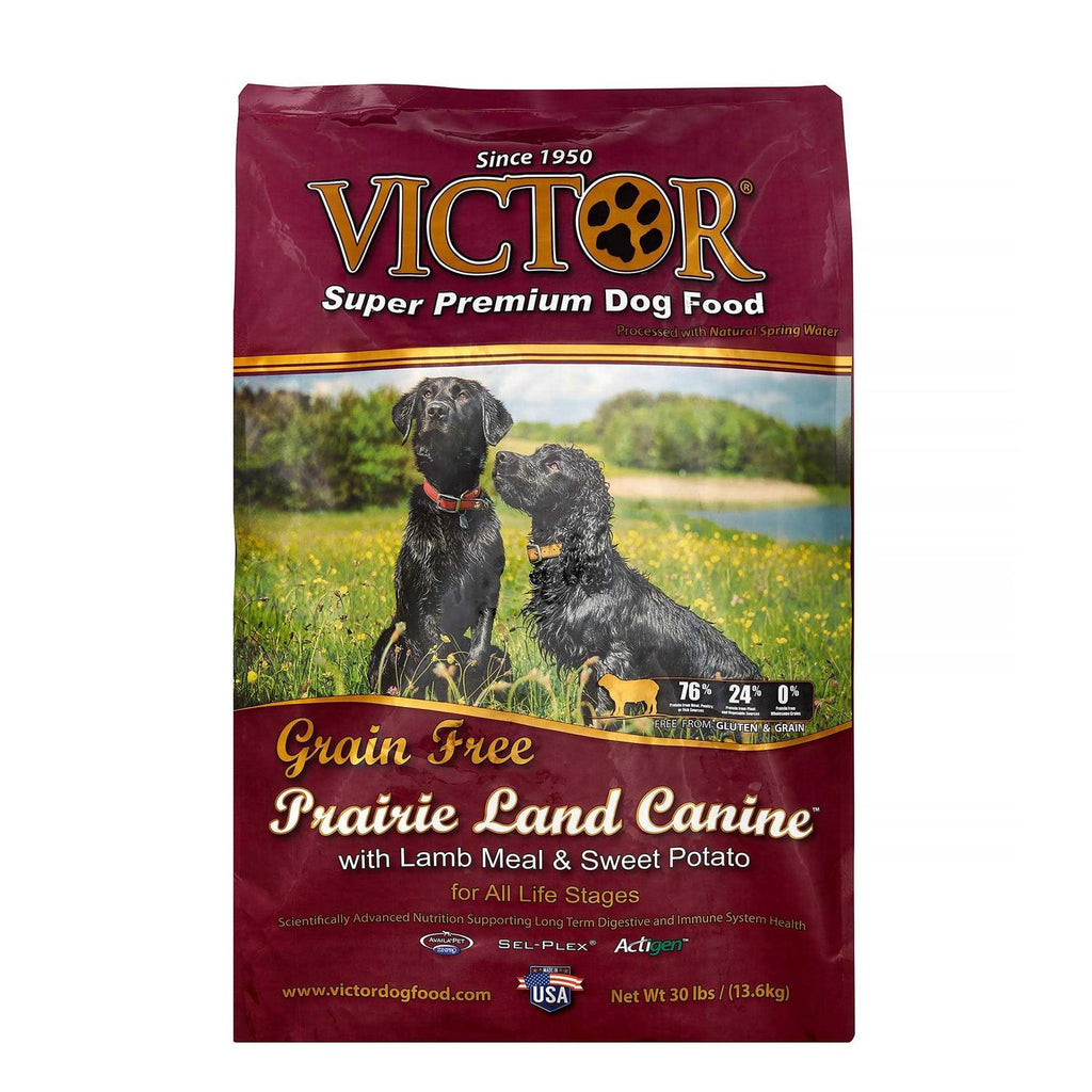 Grain Free Lamb Meal Dry Dog Food J114883