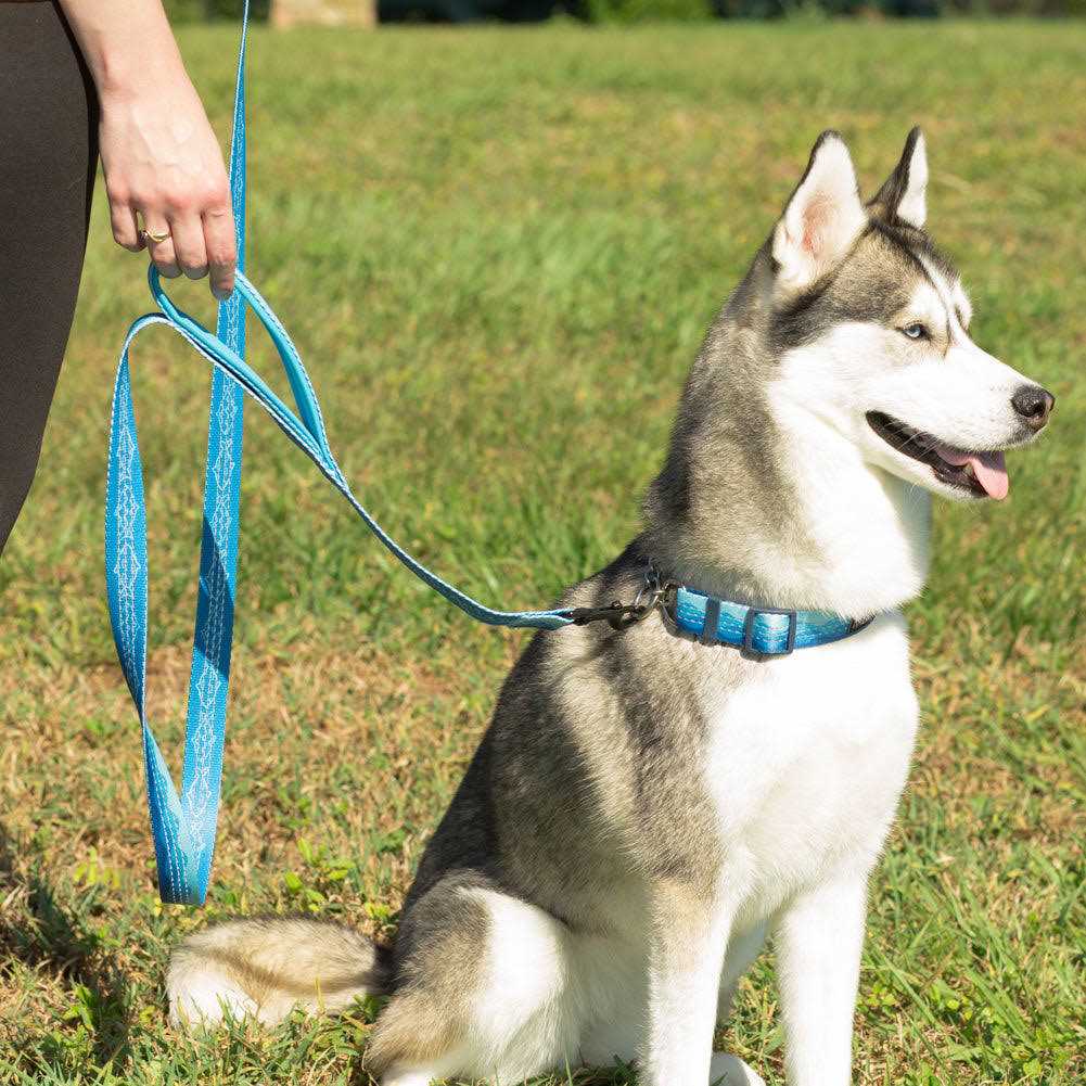 6ft Dog Leash Padded Handle U75811