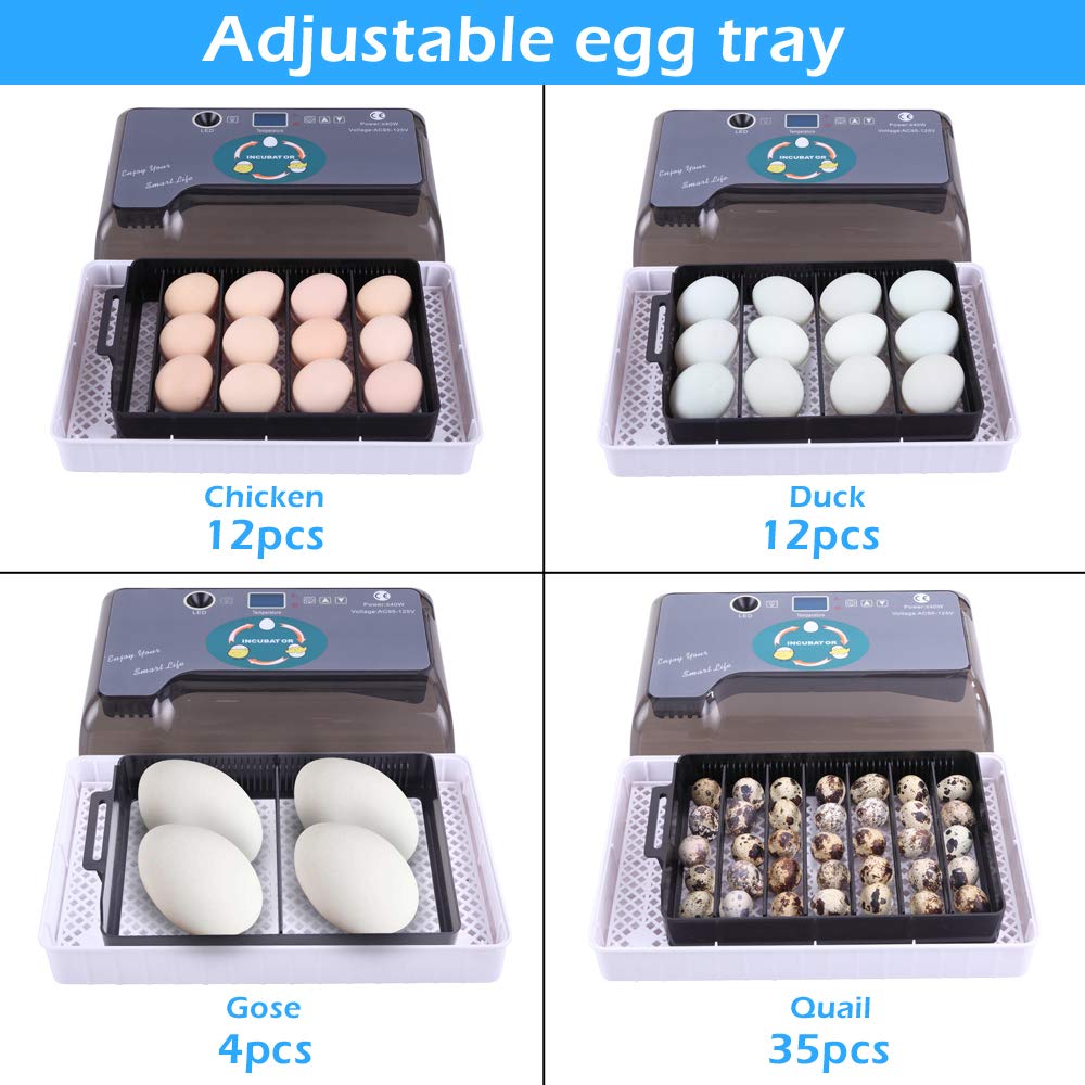 9-35 Egg Incubator Automatic Egg Turner LED Candler D439360