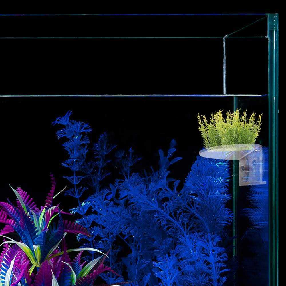 Transparent Acrylic Aquarium Shelf with Suction Cups H978279