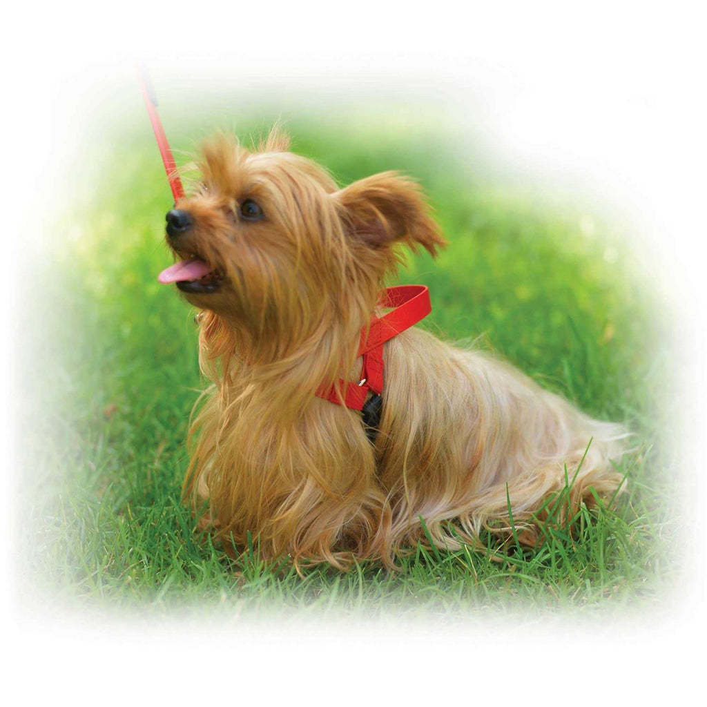 Harness J459051