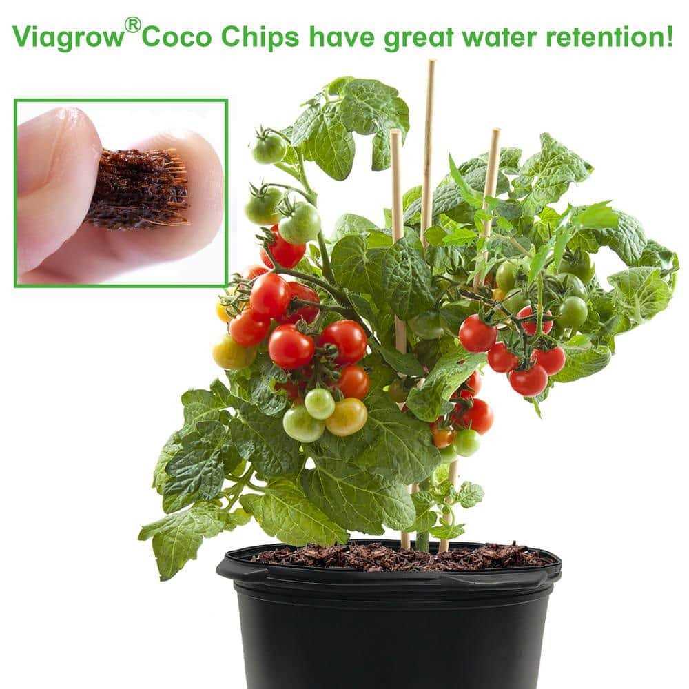 Coco Coir Reptile Substrate Coco Chips P42301